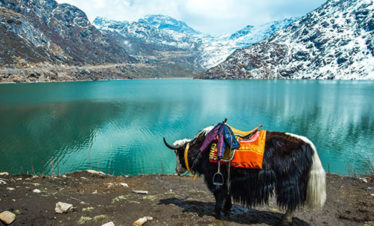 Gangtok and North Sikkim Tour