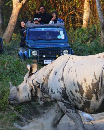 Jeep Safari