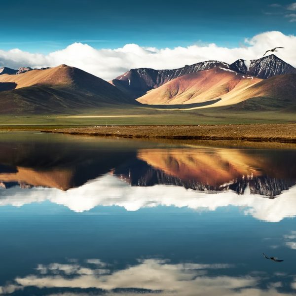 Best of Ladakh 2