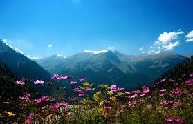 Enchanting Himachal Tour