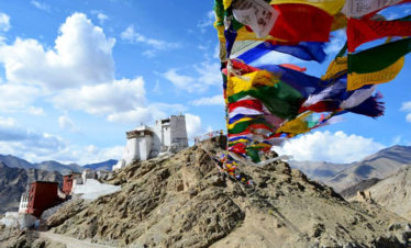 Trans Himalayan Safari
