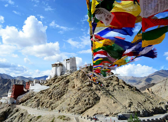 Ladakh Special Tour 5
