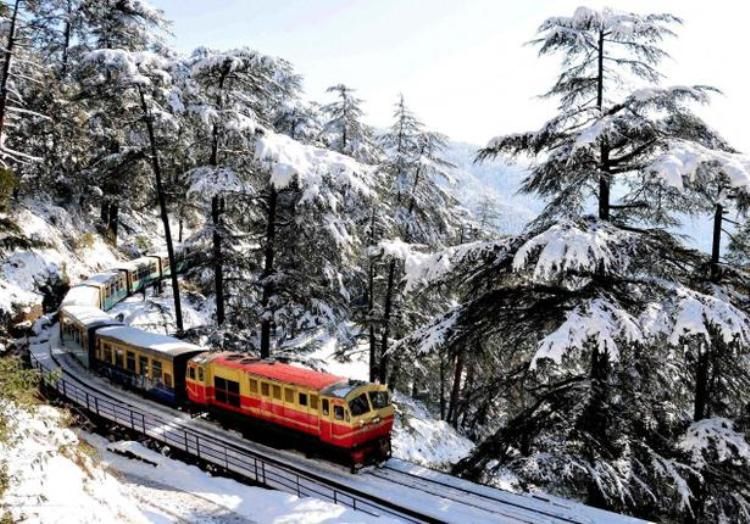 shimla Calling 4