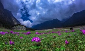 Source-Google-Things To Do In Lachung