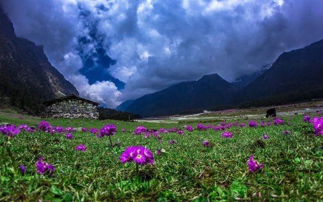 Source-Google-Things To Do In Lachung