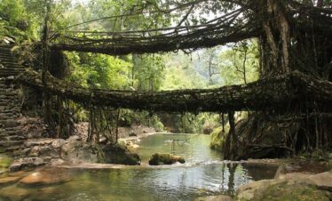 Majestic Meghalaya Honeymoon Package